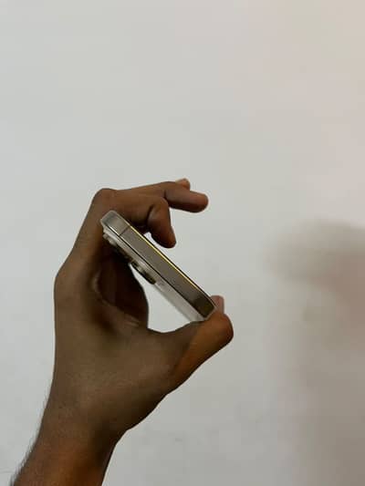 Apple iPhone 16 Pro
