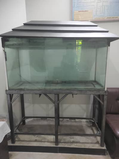fish equrium