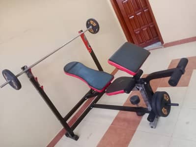 Professional Gym Shoulder Press Machine – Commercial Grade