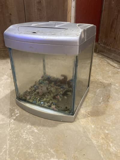 Cheap used aquarium