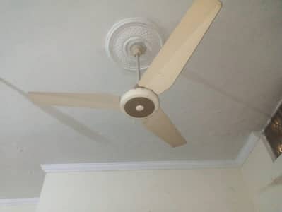 lahore fan ceiling fan 100%copper