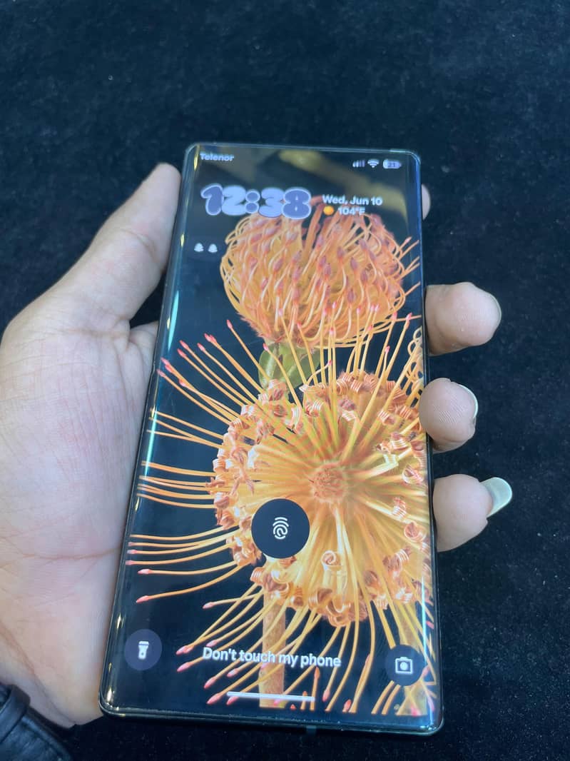 Google Pixel 6 Pro 1