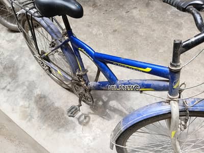 Bicycle Harcheez ok hy