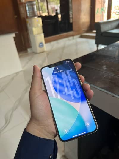 Apple iPhone 12 Pro Max