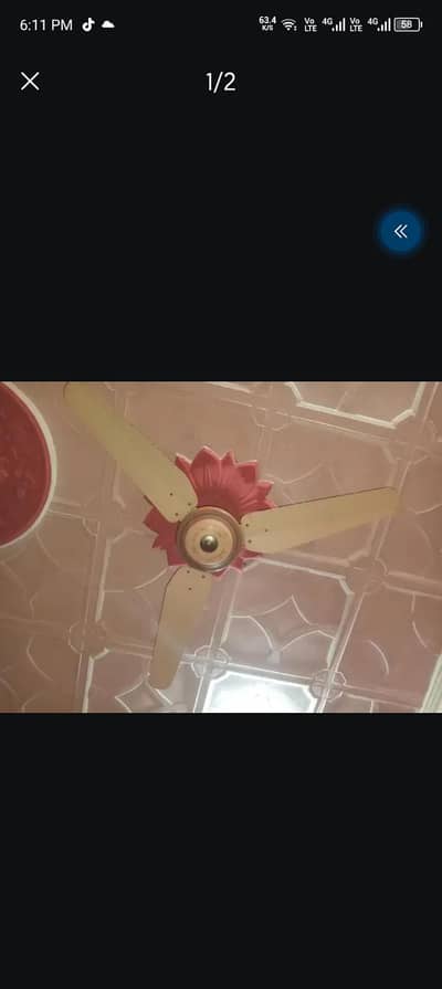 taimor fan