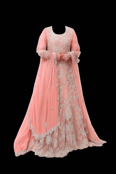 Walima Maxy long tail hand made embroidery