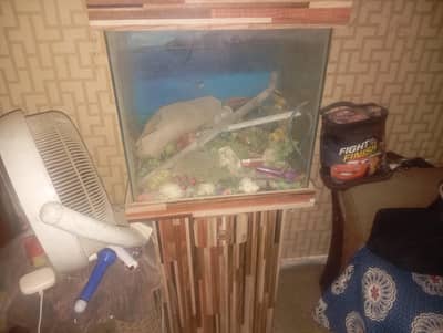fish Aquarium