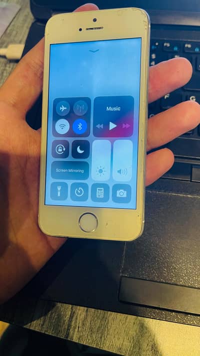 Apple iPhone 5c