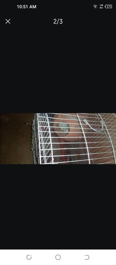 1pair cage with 2mutke