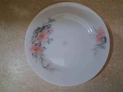 Need this design of Plates if somebody have please contact