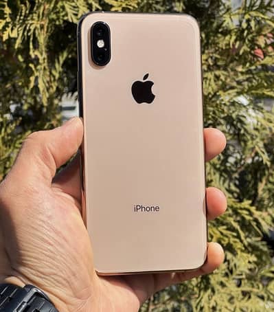 Apple iPhone xs