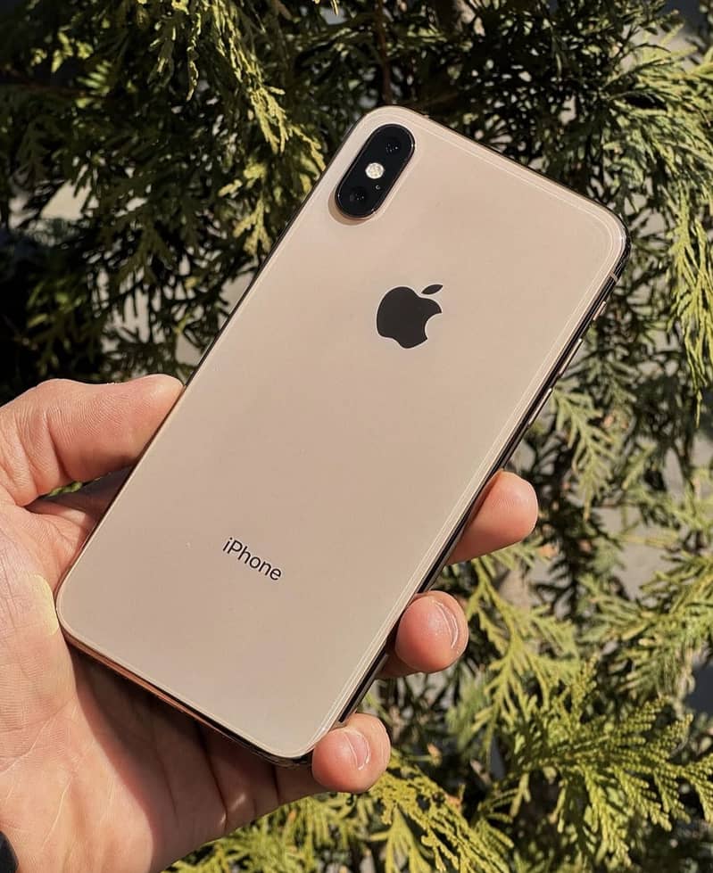 Apple iPhone xs 1