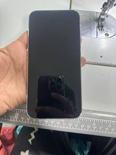 Apple iPhone 13 Pro Max