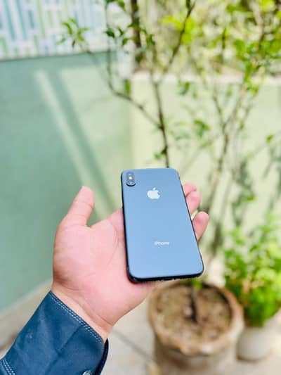 Apple iPhone X