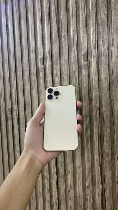 Apple iPhone 13 Pro Max