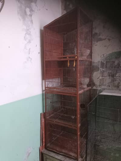 big cage