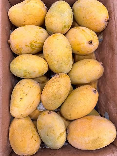 Mango 2