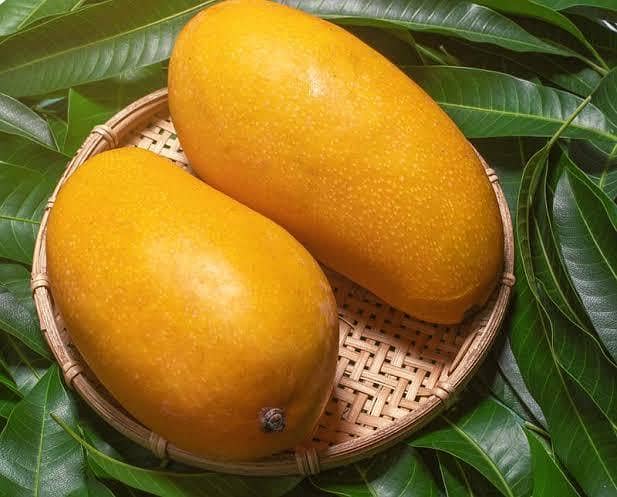 Mango 3