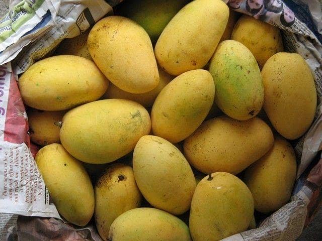 Mango 7