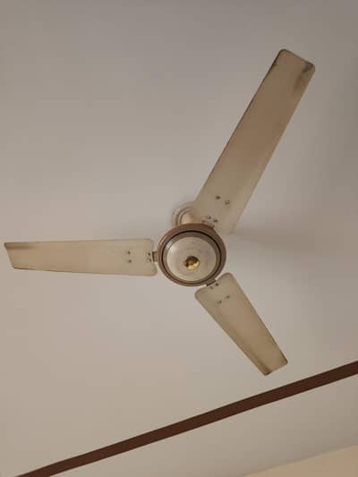 Super Asia Fan For Sale