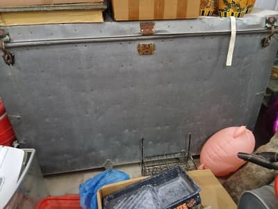 trunk