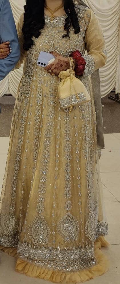 Bridel Maxi 1