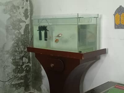 Aquarium setup for sale