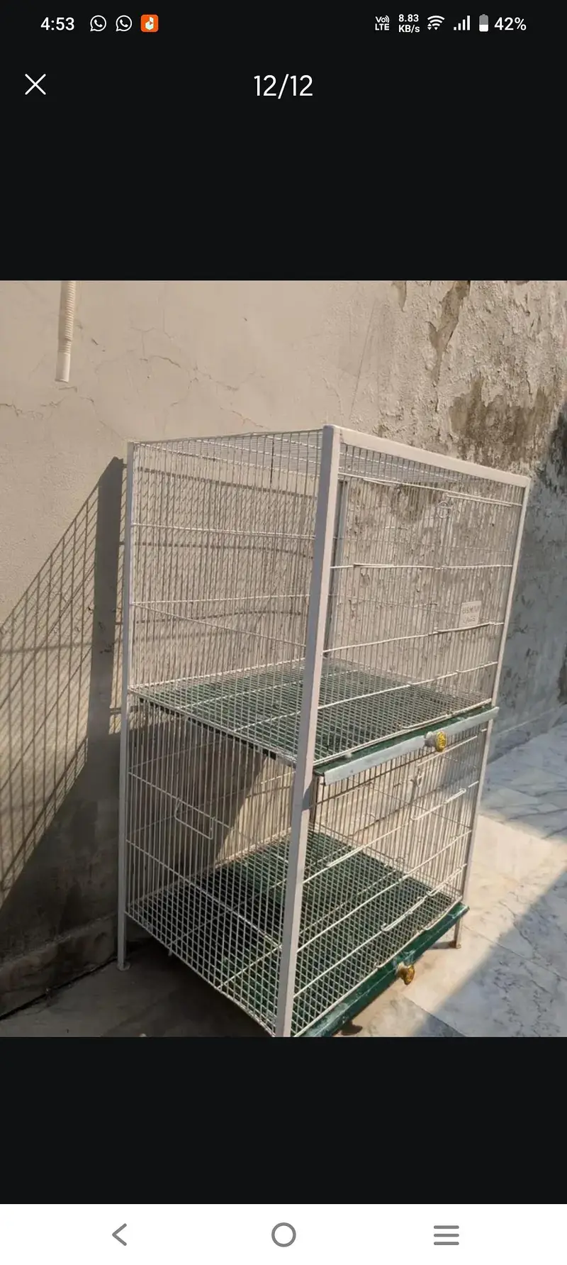 lovebirds and Cage (exchange possible)/lutino opline/ palefallow — photo 10