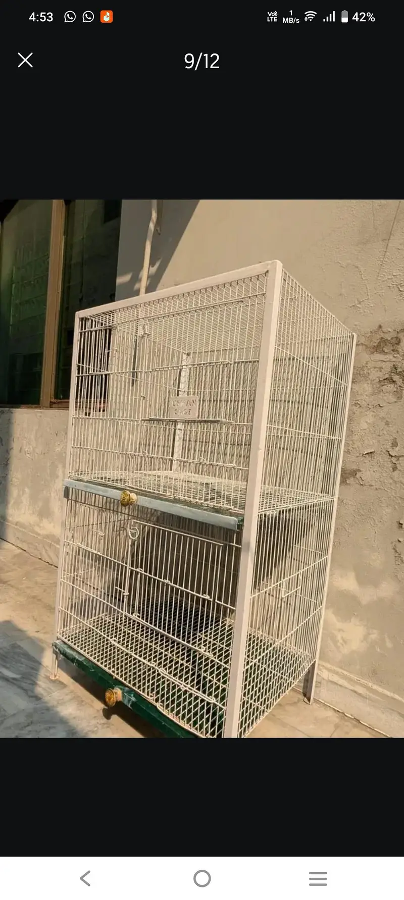 lovebirds and Cage (exchange possible)/lutino opline/ palefallow — photo 11