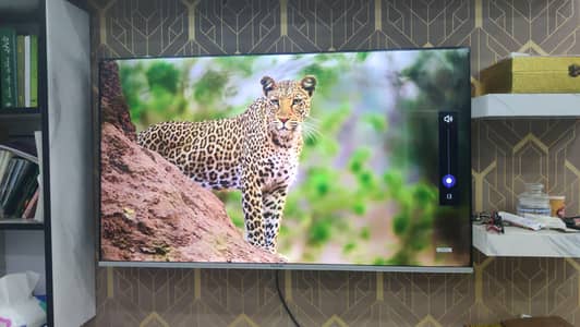 48” inch new box pack LED tv 4k 3 Year warranty o3228o44Io8