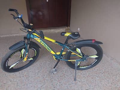 Sport's cycle