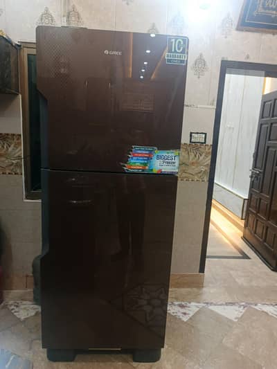 GREE Glass Door Refrigerator – Perfect Working