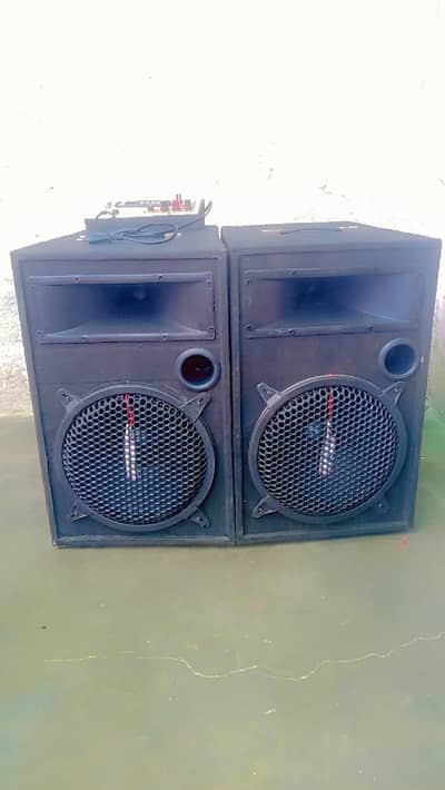 speaker 10inch ac dc