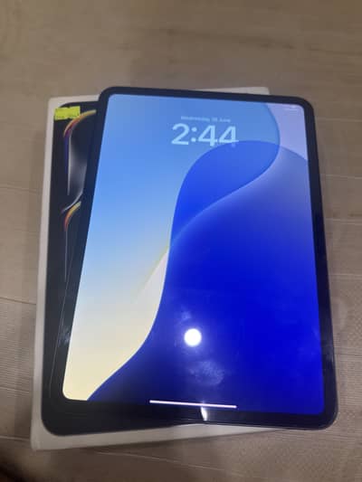 Ipad Pro M4 11 icnh 256 gb