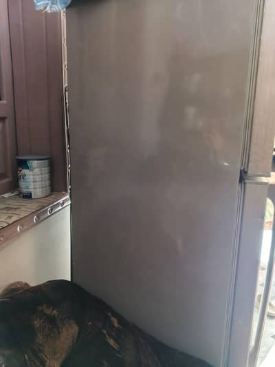 PEL full size refrigerator 9/10 condition