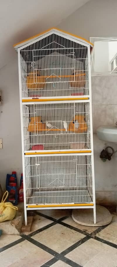 "cage for sale" with 2 pair of finches & two pairs of java birds