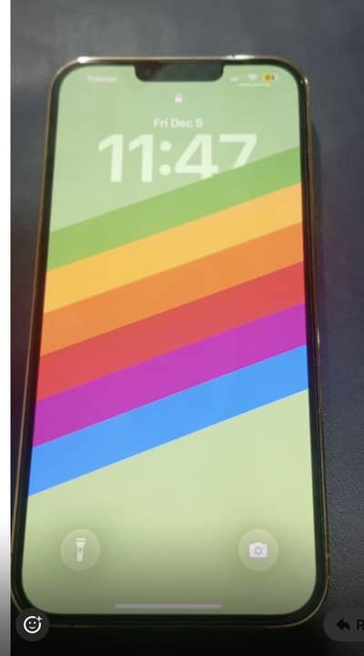 Apple iPhone 13 Pro Max