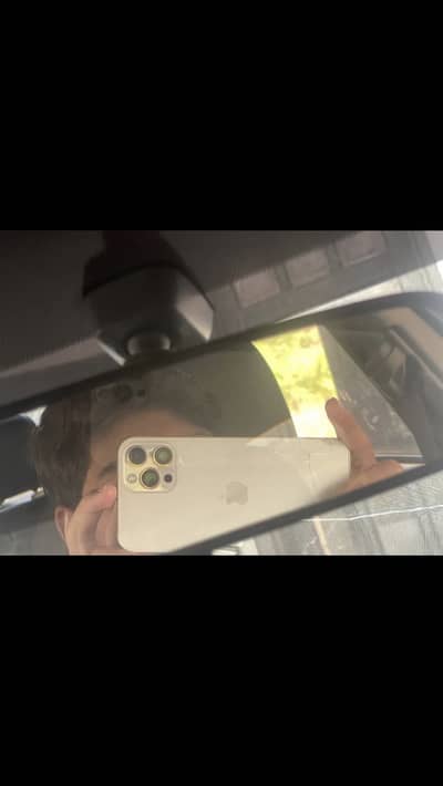 Apple iPhone 12 Pro Max