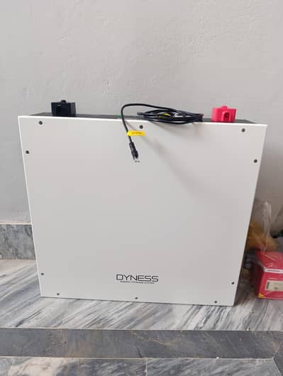 Dynes battery lithium