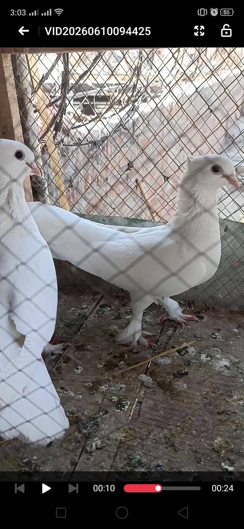 funcy pair 2