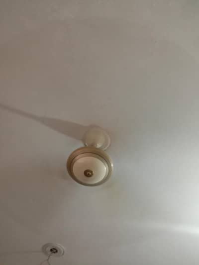 10/10 condition A1 fan hai