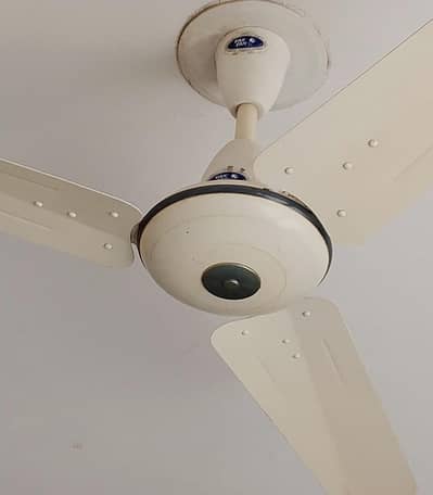 12 Pieces Fans for sale