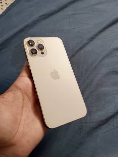 iPhone 12 Pro Max