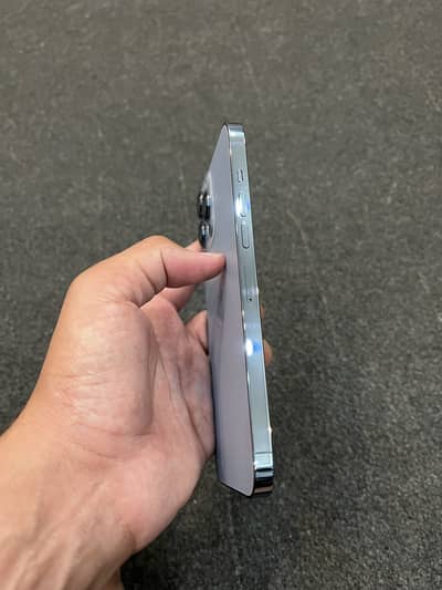 iPhone 13 Pro Max 256