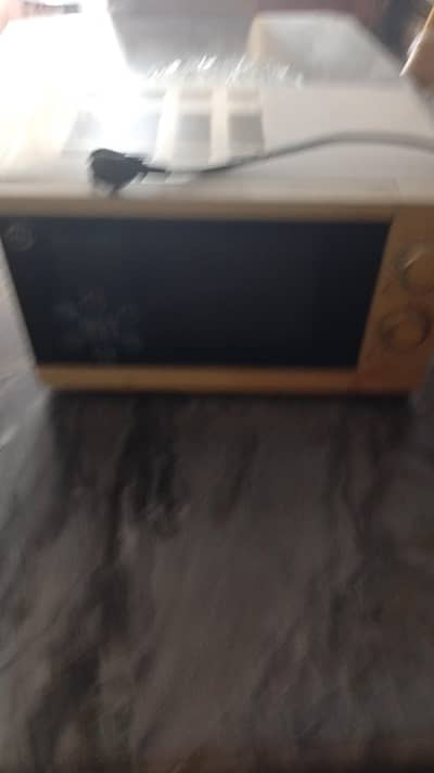 20 litre capacity microwave