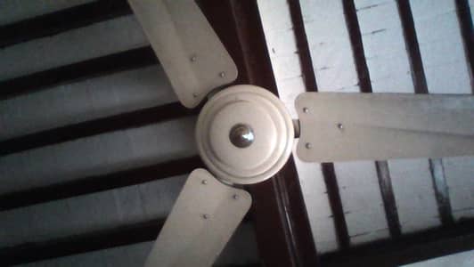 ceiling fan