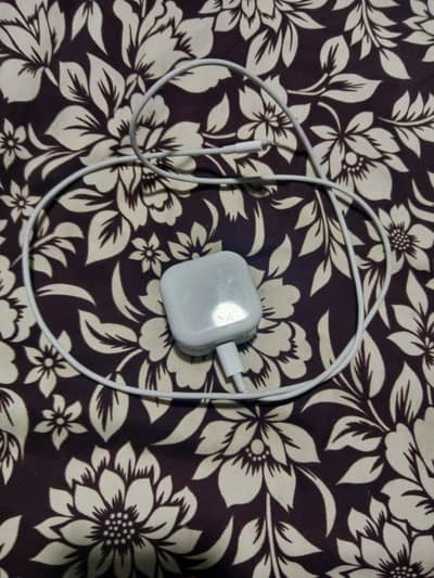iPhone pin charger