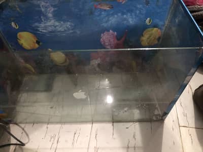 Fish aquarium 2ft
