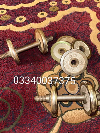 Dumbbells. 16 kg