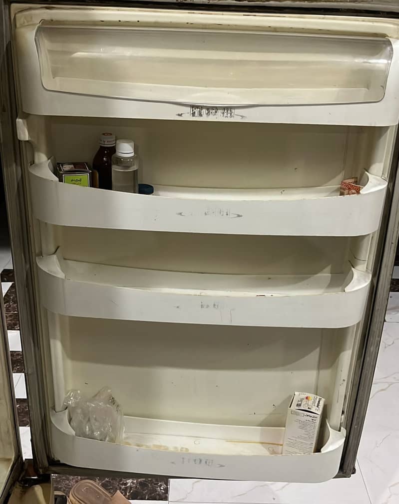 PEL Fridge 1